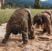 1-112th Infantry Recon squads conduct ‘ghillie wash’ training event