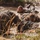 1-112th Infantry Recon squads conduct ‘ghillie wash’ training event 1-112th Infantry Recon squads conduct ‘ghillie wash’ training event