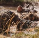 1-112th Infantry Recon squads conduct ‘ghillie wash’ training event