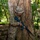 10th Marine Regiment conducts PEX with Panamanian partners