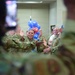 Keesler's newest technical sergeants recognized