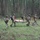 TCCC Final Exercise