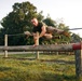 Alpha Company conducts O Course