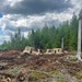 107th Engineer Battalion Soldiers of the Michigan Army National Guard and Latvian Zemessardzes build defensive training areas with NATO partners.