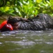 JOTC-P 26:02: Waterborne Operations &amp; Hasty Repelling