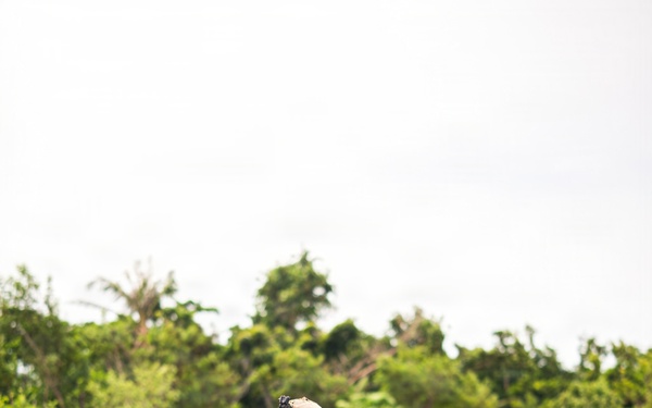 U.S., Philippine Marines conduct simulated NMESIS firing mission during KAMANDAG 10