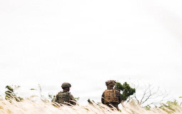U.S., Philippine Marines conduct simulated NMESIS firing mission during KAMANDAG 10
