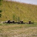 4-2 AB Conducts Field Training Exercise