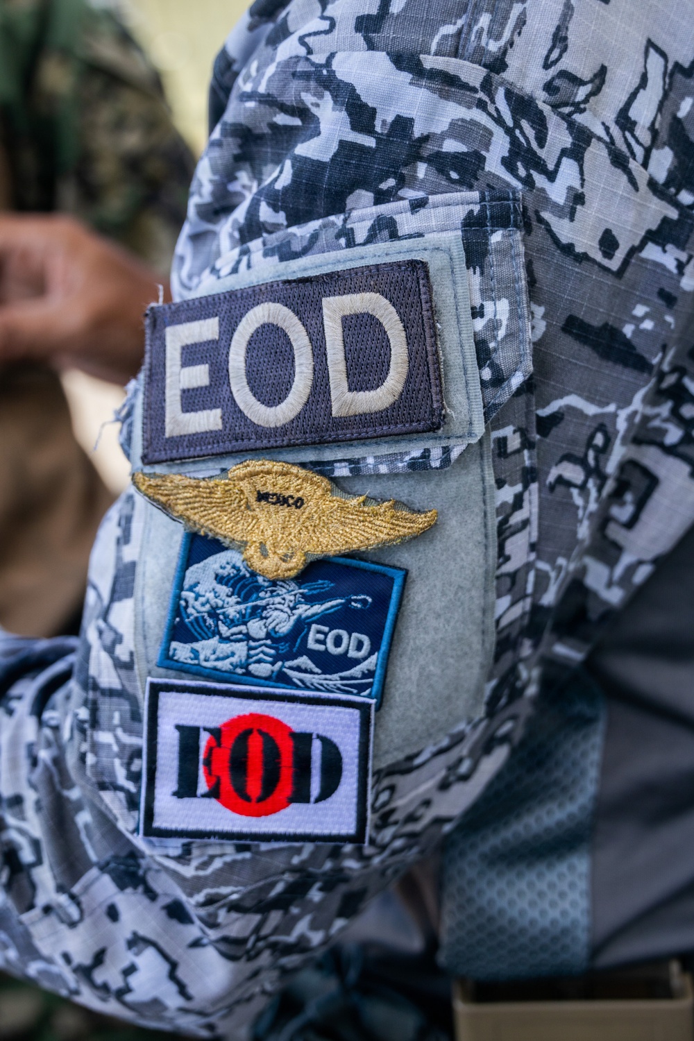 Multinational Explosive Ordinance Disposal Technicians Train During RIMPAC 26