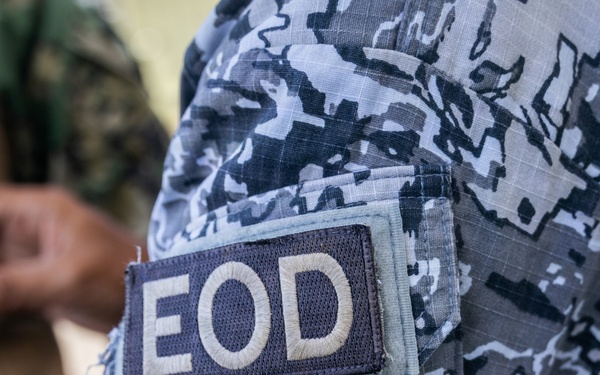 Multinational Explosive Ordinance Disposal Technicians Train During RIMPAC 26