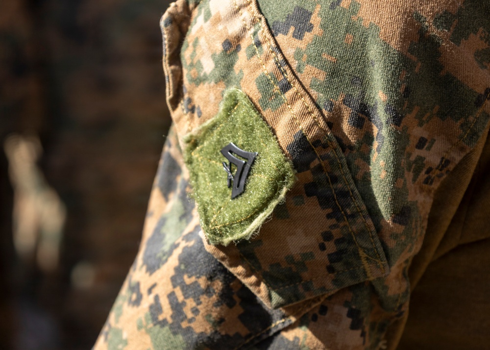 MajGen Jarrard promotes a Marine to NCO