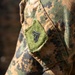 MajGen Jarrard promotes a Marine to NCO