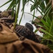U.S. Marines participate in military operations in urban terrain training during KAMANDAG 10