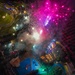2026 Independence Day Celebration