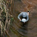 Holding Water on the Land