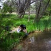 Holding Water on the Land
