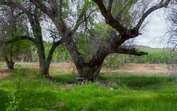 Holding Water on the Land
