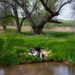 Holding Water on the Land