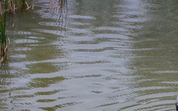 Holding Water on the Land