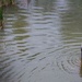 Holding Water on the Land