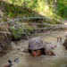 OCS Combat Course