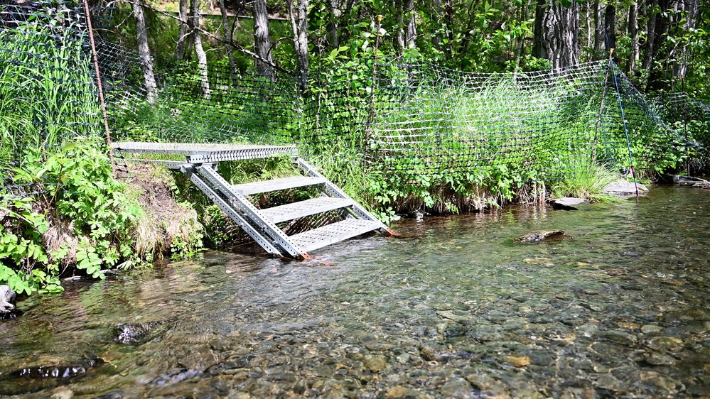 Russian River Conservation on the Chugach National Forest