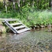 Russian River Conservation on the Chugach National Forest