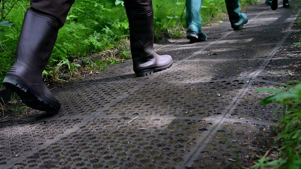Russian River Conservation on the Chugach National Forest
