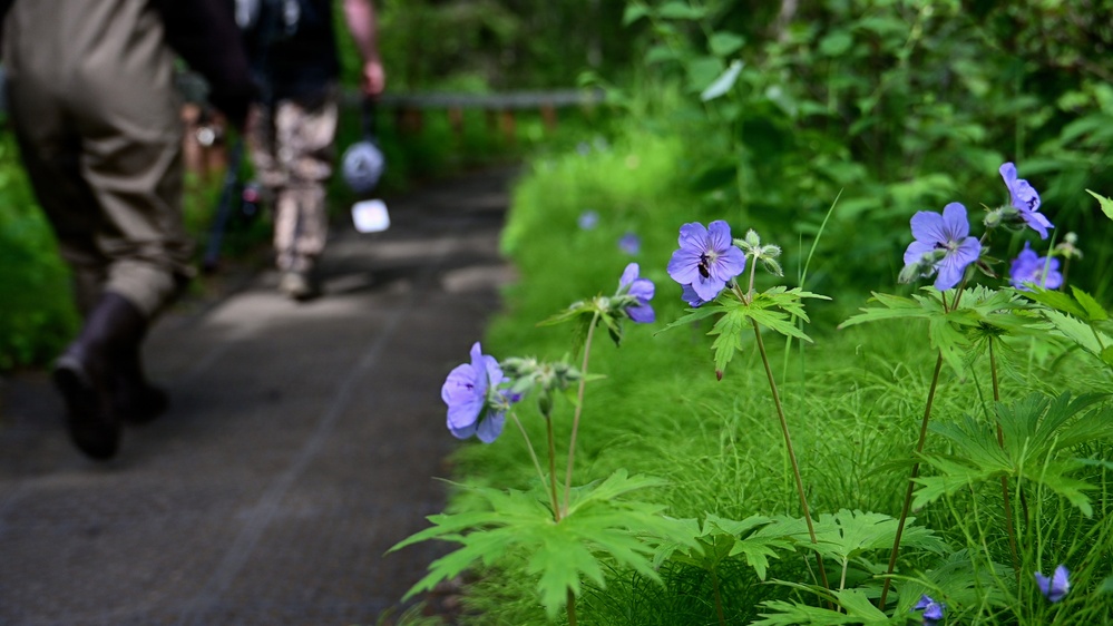 Russian River Conservation on the Chugach National Forest