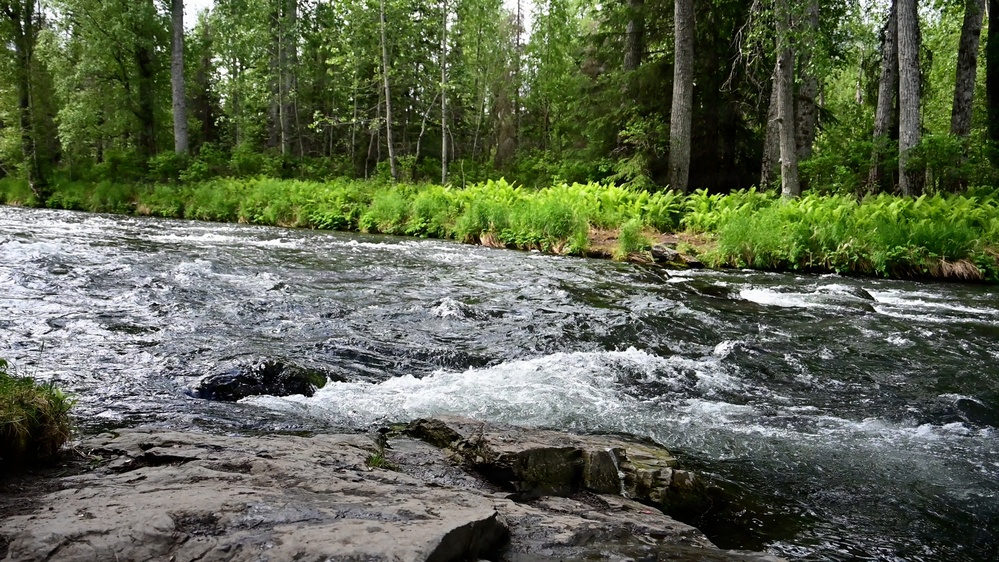 Russian River Conservation on the Chugach National Forest