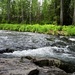 Russian River Conservation on the Chugach National Forest