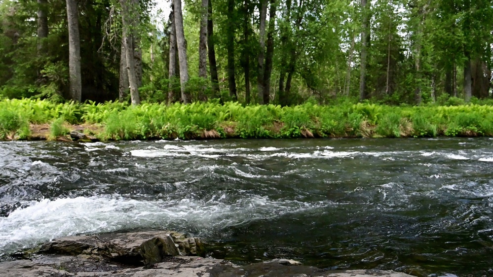 Russian River Conservation on the Chugach National Forest