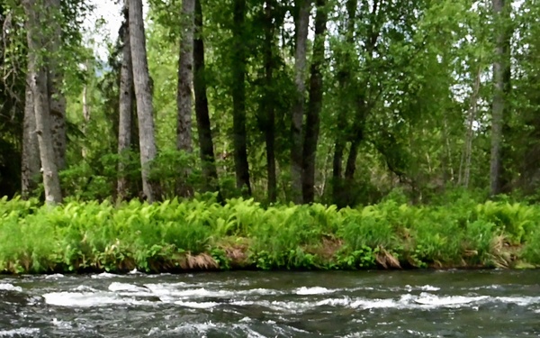 Russian River Conservation on the Chugach National Forest