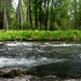 Russian River Conservation on the Chugach National Forest