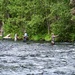 Russian River Conservation on the Chugach National Forest