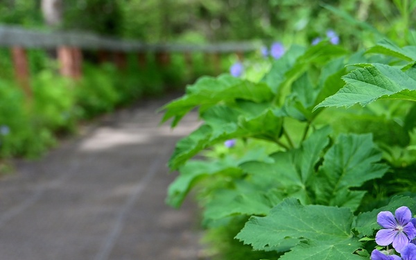 Russian River Conservation on the Chugach National Forest