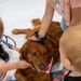 179th Partcipates in Take Your Kid to Work Day
