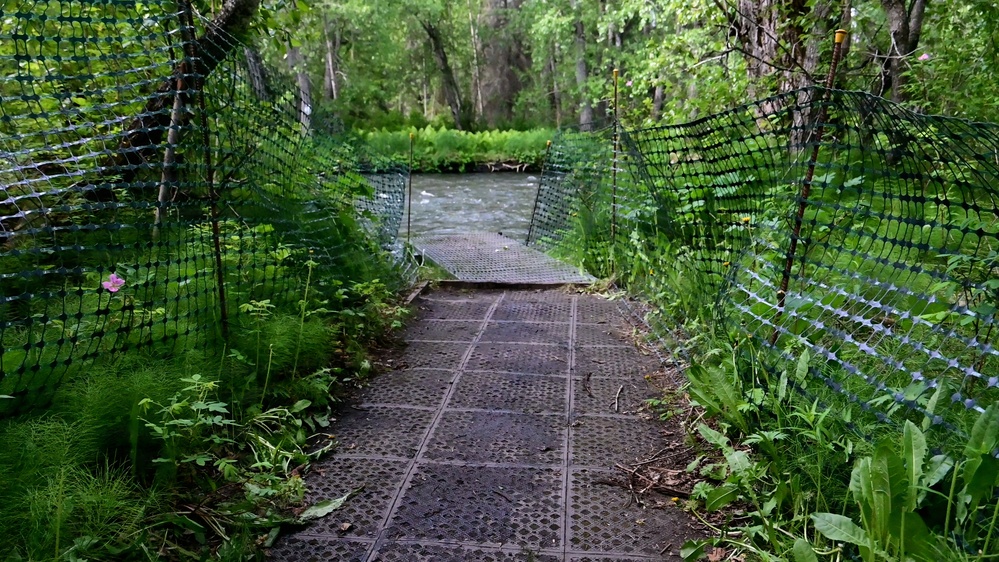 Russian River Conservation on the Chugach National Forest