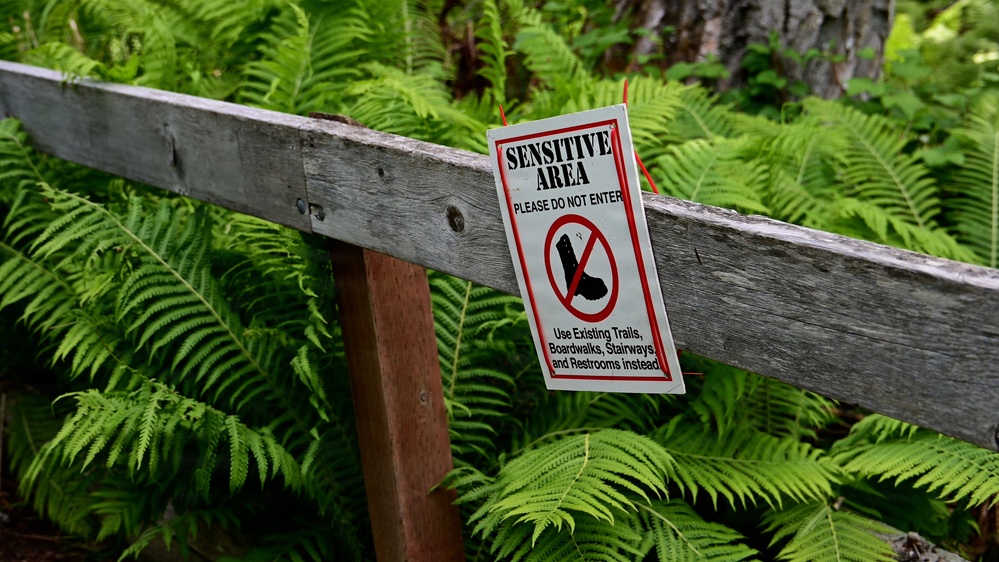 Russian River Conservation on the Chugach National Forest