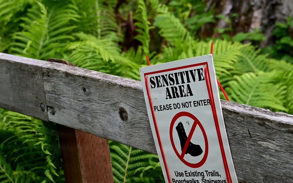 Russian River Conservation on the Chugach National Forest