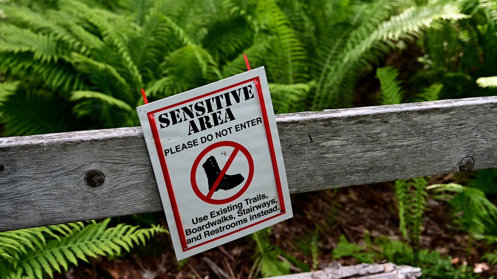 Russian River Conservation on the Chugach National Forest