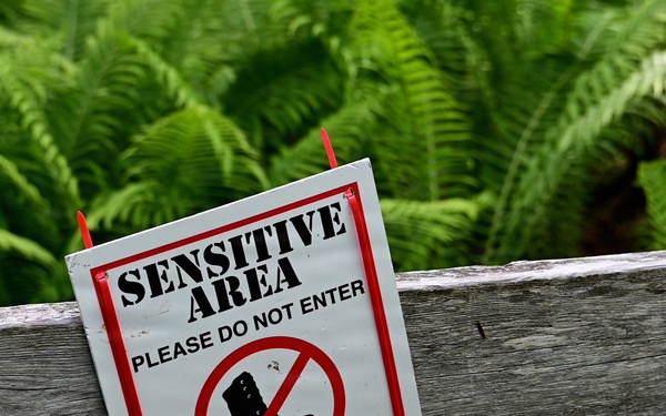 Russian River Conservation on the Chugach National Forest