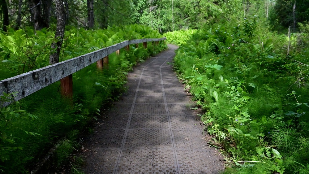 Russian River Conservation on the Chugach National Forest