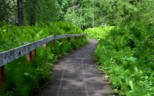 Russian River Conservation on the Chugach National Forest