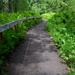 Russian River Conservation on the Chugach National Forest