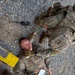 KFOR RC-E conducts mass casualty exercise at Camp Bondsteel