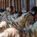 167AW M4 carbine qualification training