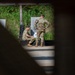 167AW M4 carbine qualification training