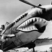 250 years strong: The Flying Tigers legacy lives on