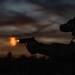 Airmen refine combat marksmanship during live-fire training